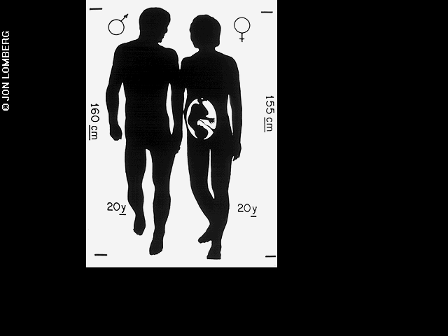 The diagram of male and female image is one of the pictures electronically placed on the phonograph records which are carried onboard the Voyager 1 and 2 spacecraft. Credit: Jon Lomberg